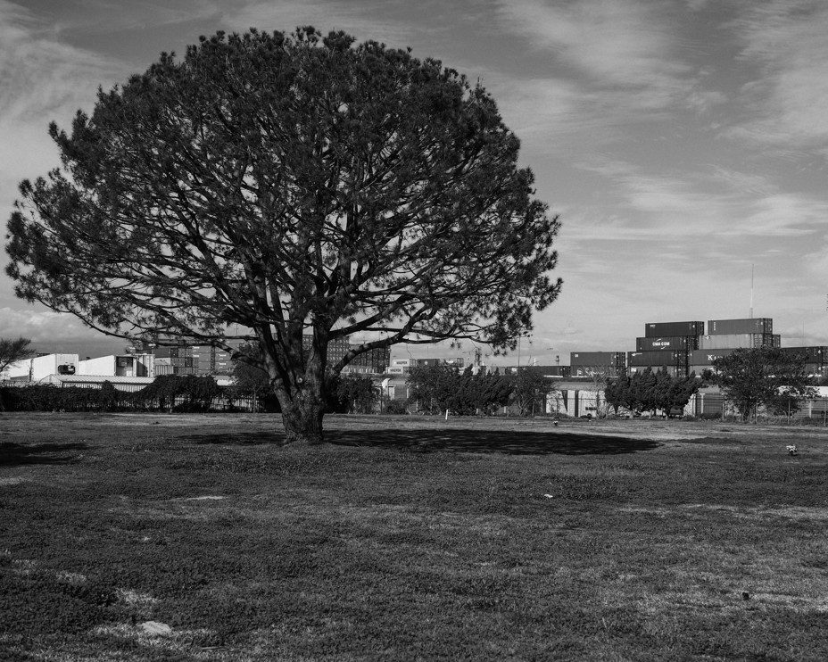 Shipping containers looming in the distance from the Wilmington Cemetery in Wilmington, Calif., the second oldest cemetery in Los Angeles that was established in 1857. Pablo Unzueta/ Magnum Foundation