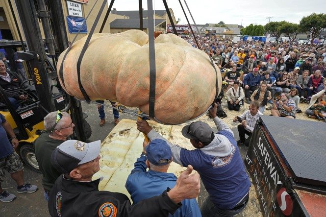 Michael Jordan, the world's largest pumpkin