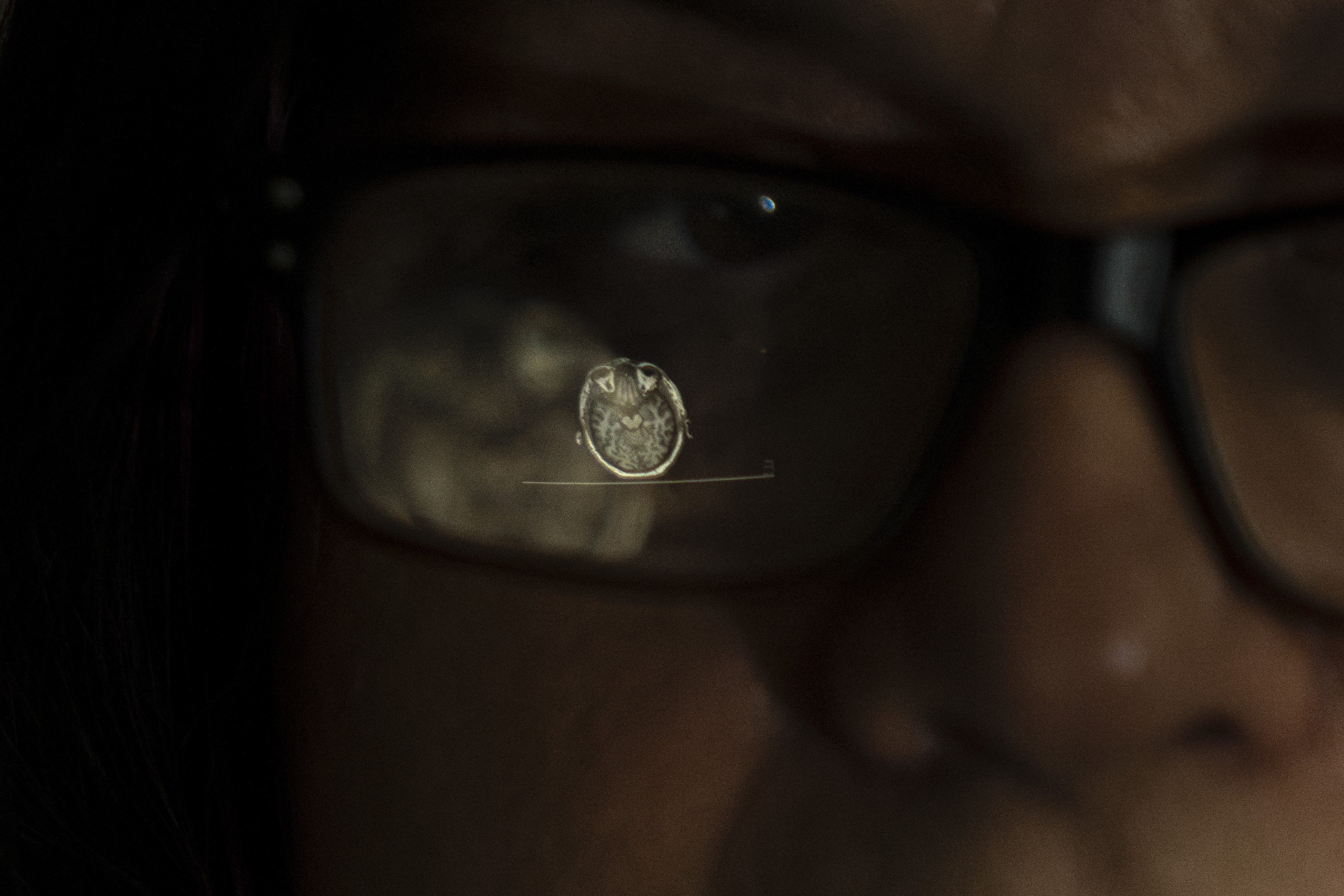 Picture of Maestre looking at an MRI scan at the university’s neuroscience institute.