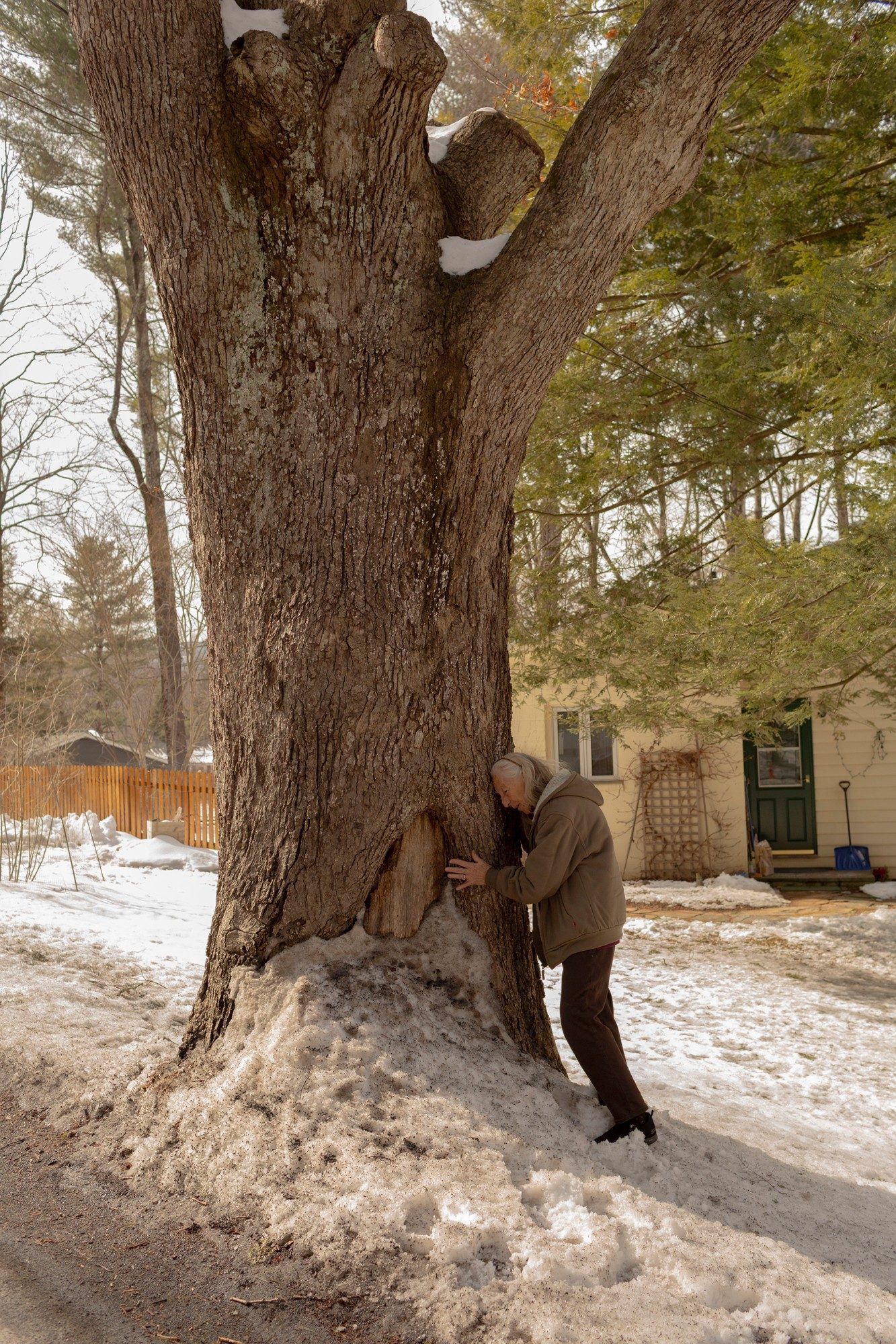 photo of woman leaning with hand pressed against enormous tree next to road with snow on ground and house behind